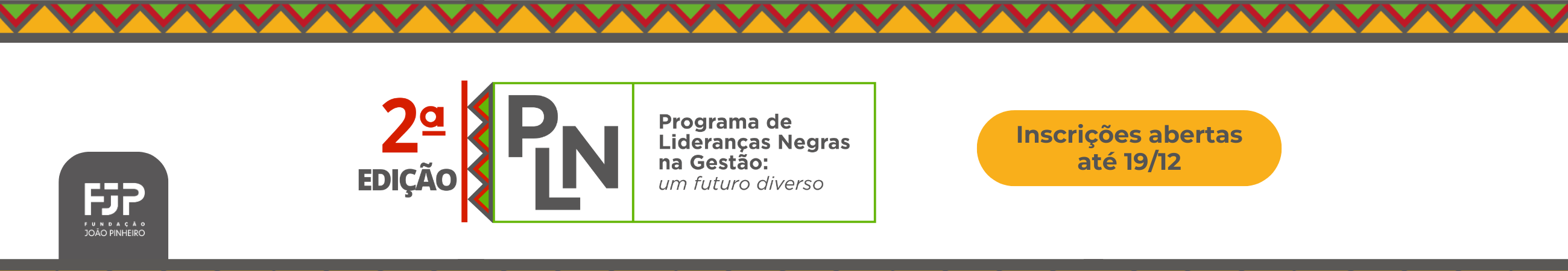 Programa de Lideranças Negras (PLN)